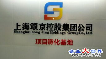 頌京控股集團旗下網絡科技公司 立足上海，引領數字化服務新浪潮